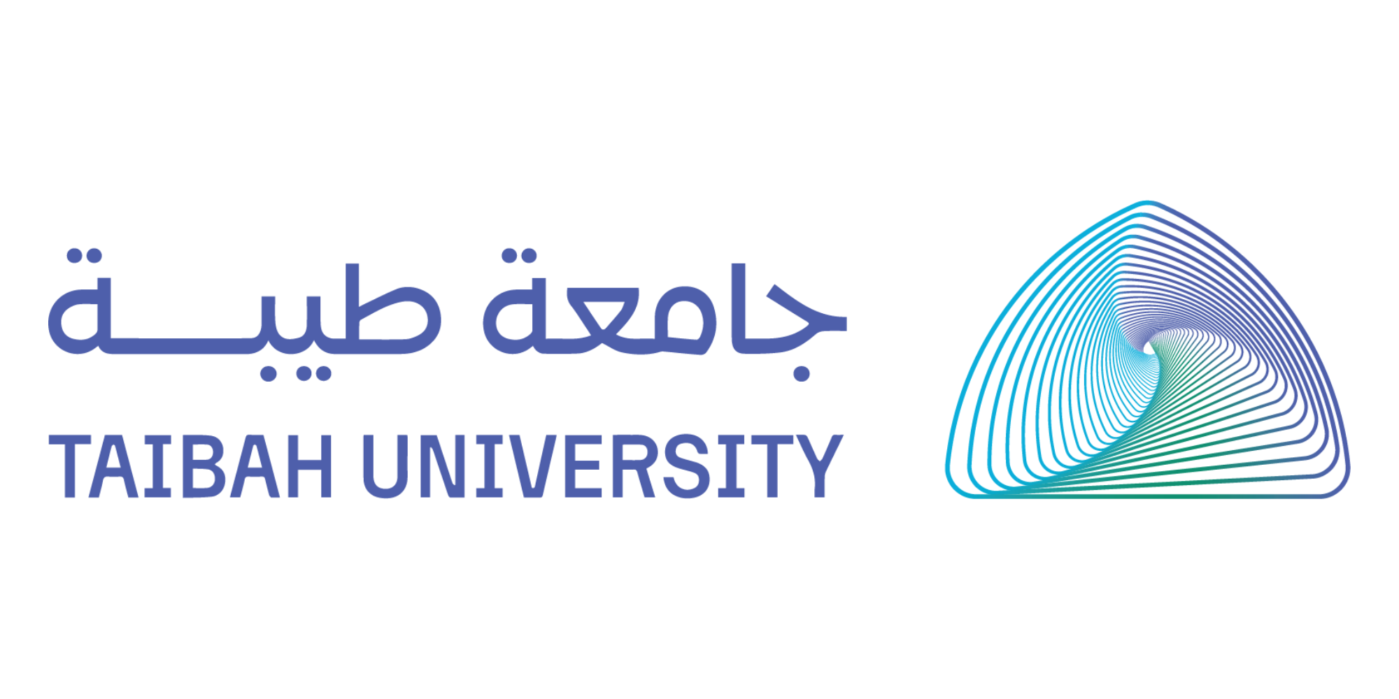 جامعة طيبة وفروعها